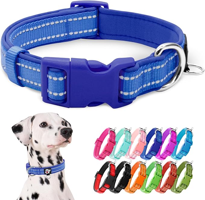 azuza Reflective Dog Collar, Neoprene Padded Large Dog Collar, Royal Blue L