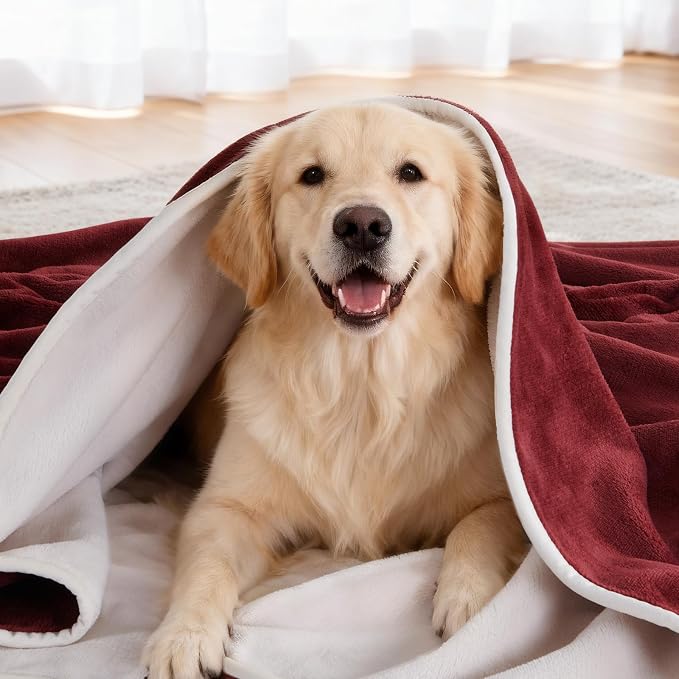 LOOBANI Waterproof Dog Blanket for Couch, Soft Couch Cover 50" x 60", Red | Pet Blanket for Medium Large Dogs, Double Side Liquid-Proof, Reversible Flannel Bed Throw for Sofa, Travel, Hair Resistant
