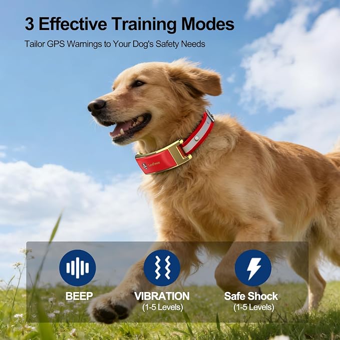 GPS Wireless Dog Fence, No Monthly Fee for Medium & Large Dogs