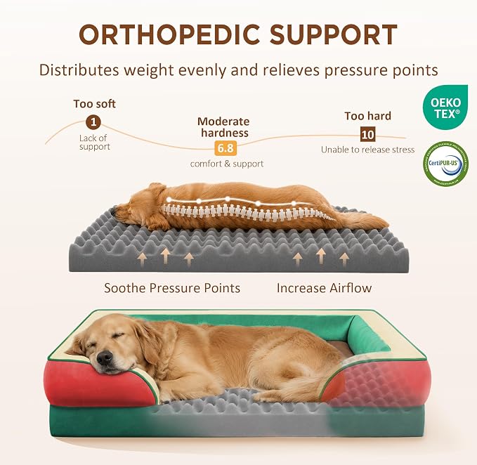 Comfort Expression Orthopedic Dog Bed for Extra Large Dogs with Bolster | Waterproof Dog Couch Bed with Washable Cover & Non-Slip Bottom, Supportive Egg Crate Foam XL Pet Bed, 45x35 Inch