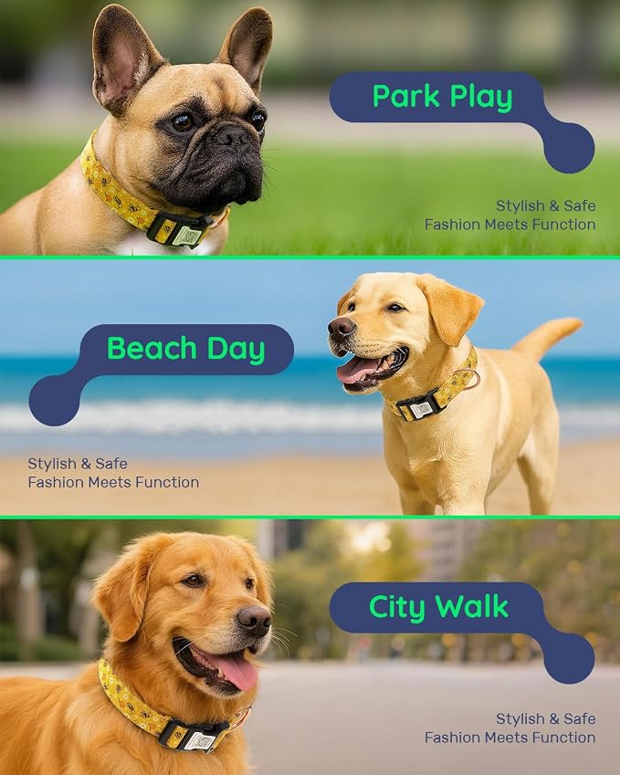 Dog Collar for Small Dogs with Smart QR Tags