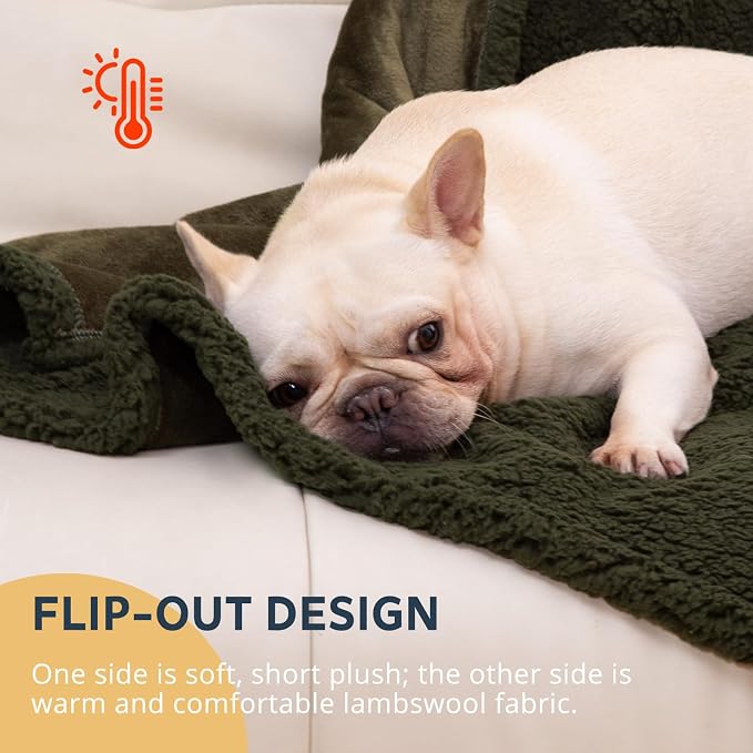 Waterproof Dog Blanket 40 x 60 in for Small & Medium Dogs, Washable | Aodisman Reversible Soft Fleece Pet Throw,Leakproof Furniture Protector for Sofa,Couch,Crate,Cats,Kittens & Puppies,Green