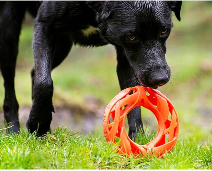 Chuckit! Air Fetch Wheel Dog Toy, Orange
