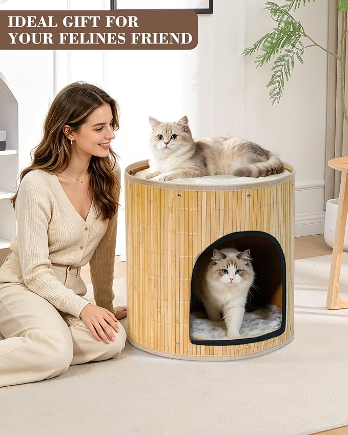 SYANDLVY Large Cat House, Kitten Condo with Bed for Indoor Cats, Portable ﻿ | 2-Tier Foldable Natural Bamboo Cave with Double-Sided Cushion, 15.5"x15.7" Washable Kitten Hideout