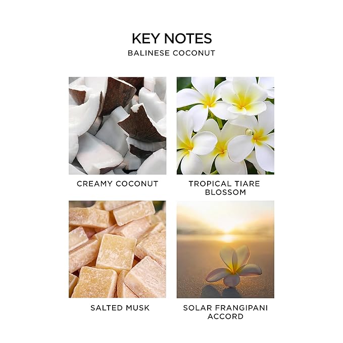 NEST New York Perfume Oil Discovery Set - Includes Balinese Coconut, Turkish Rose, Seville Orange, Indian Jasmine & Madagascar Vanilla - Vegan & Cruelty Free