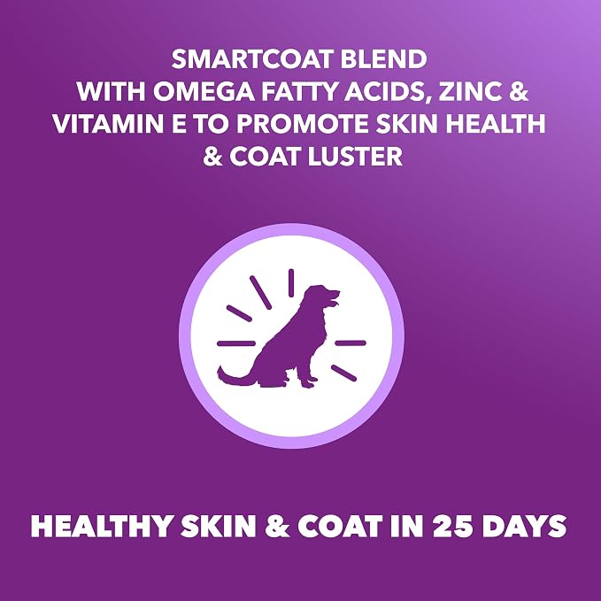IAMS Advanced Health Skin & Coat Dry Dog Food, Chicken & Salmon, 13.5 lb | Vet-recommended, Omega 6:3 fatty acids, zinc & vitamin E, real chicken #1 ingredient, real salmon, no artificial flavors