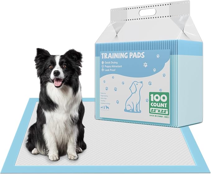 DUMOS 100 Count Puppy Pads for Dog, Disposable Dog Potty Pee Training Pads | 6-Layer Super Absorbency, Disposable Pet Leakproof Quick Drying, 22"×22"× Regular Size
