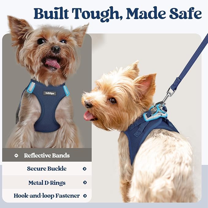 rabbitgoo Dog Harness Medium Sized and Leash Set, Step-in Puppy Pet Vest | Light, Soft, Breathable Air Mesh, Easy on and Remove with Hook & Loop, Secure Reflective for Walking, Navy Blue L