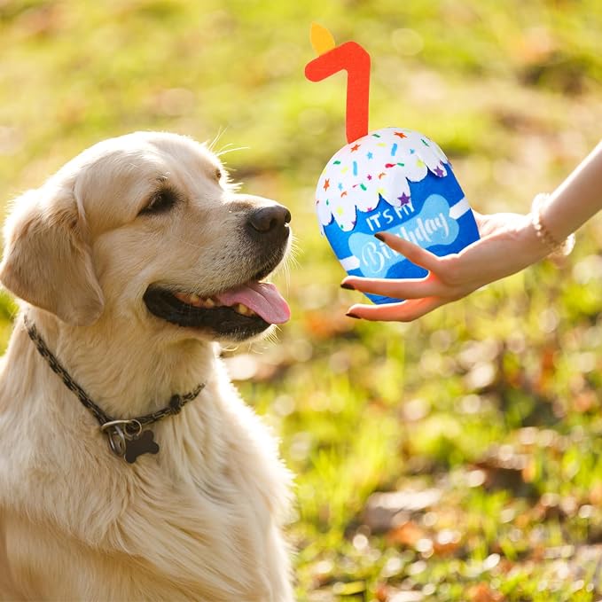 Dansydaisy Dog Birthday Cake Toy Squeaky Plush Gift,7th,Blue