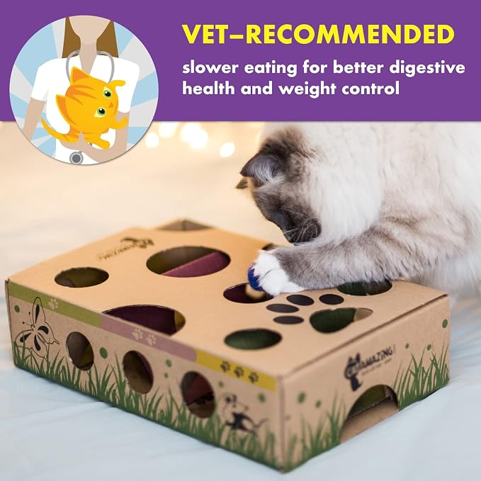 Cat Amazing Interactive Treat Maze and Puzzle CAT Toy