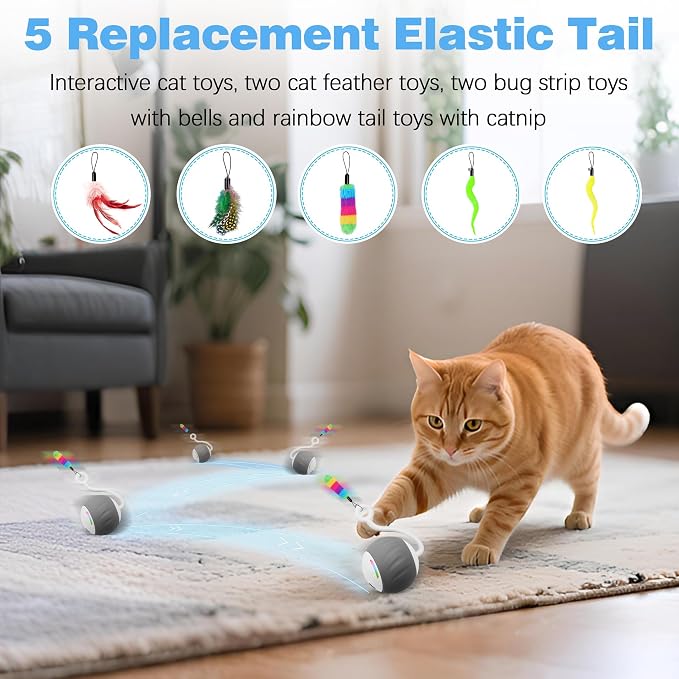 Upgraded 2.36 Inch Large Interactive Cat Toys Ball for Indoor Cats, Gray