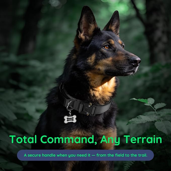 Tactical Dog Collar for Medium Large Dogs, with Leather Control Handle | Durable Metal Buckle, Soft Comfortable Padding, Adjustable, Military Heavy Duty Dog Collar for Large Dogs, Black