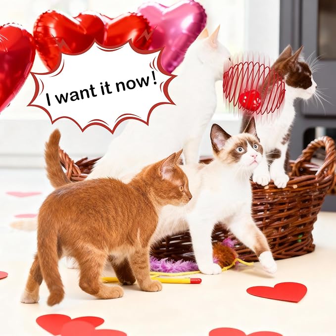 Jecery 5 Pcs Cat Toys Spring,Heart Bel,Pink Red