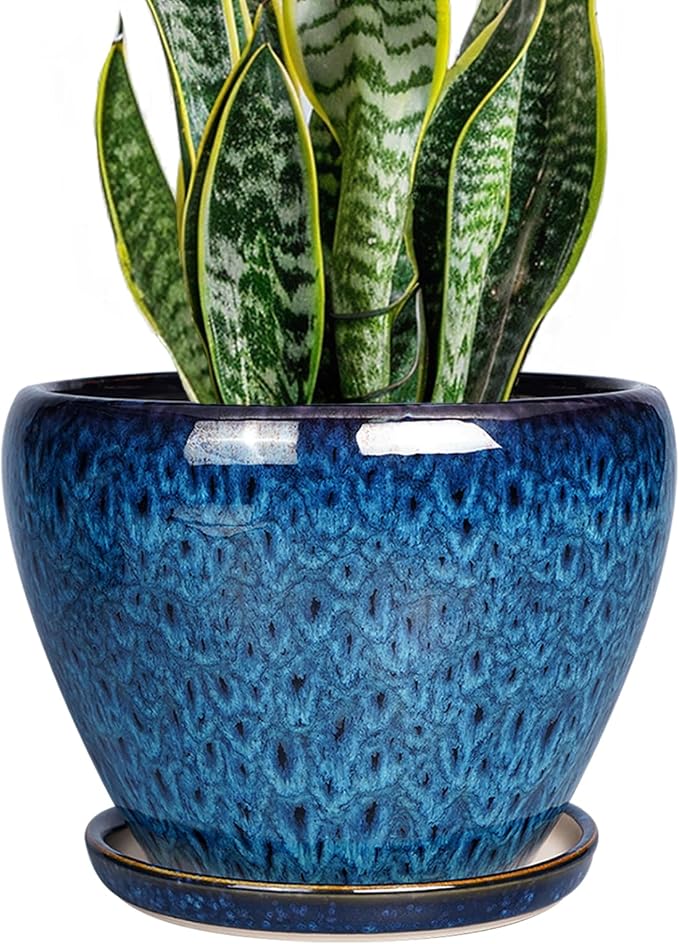 Ceramicfor 8 Inch Ceramic Plant Pot, Ceramic Planter Pot for Indoor Outdoor Plants, Round Flower Pot with Drainage Hole and Saucer, Blue