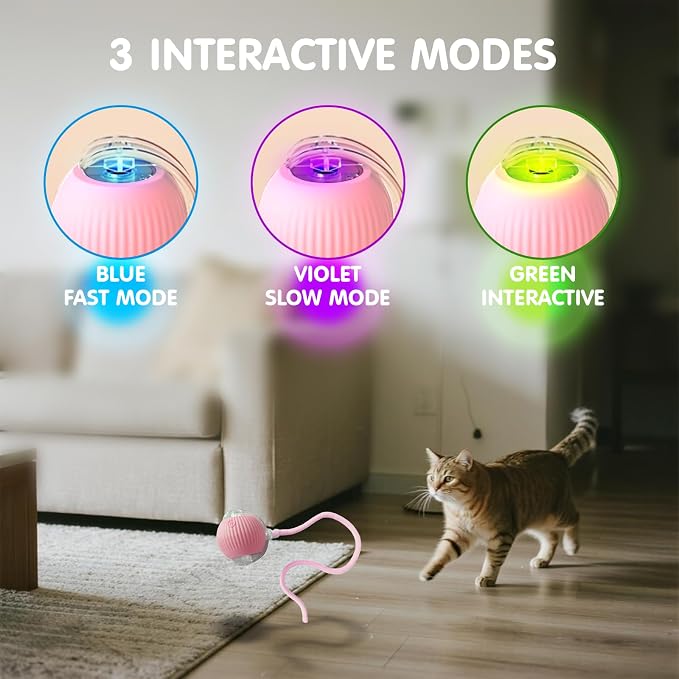 Rocfish Durable Interactive Cat Toys for Indoor Cats (Pink, 01)
