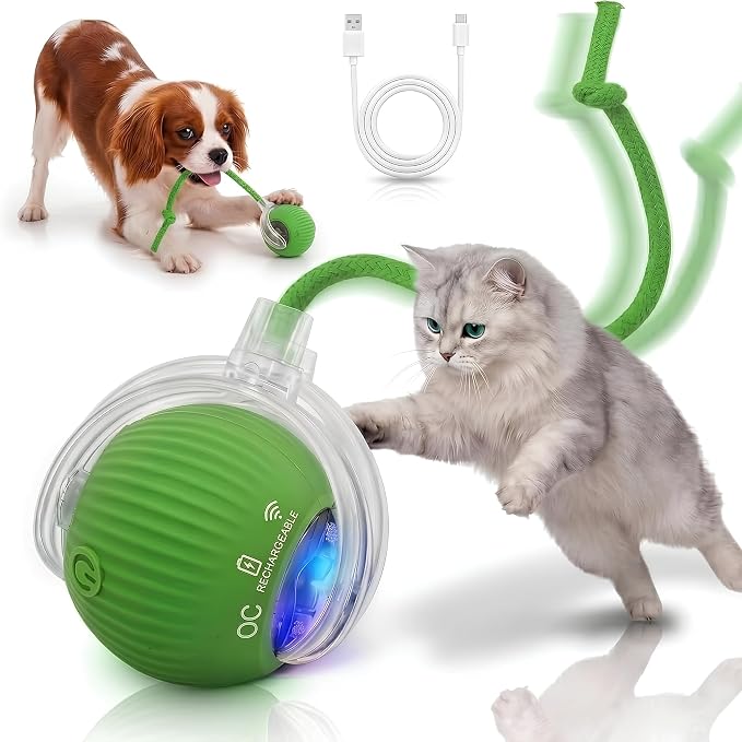 Interactive Cat Toy Automatic Moving Ball, Indoor Cats, Rechargeable, Green