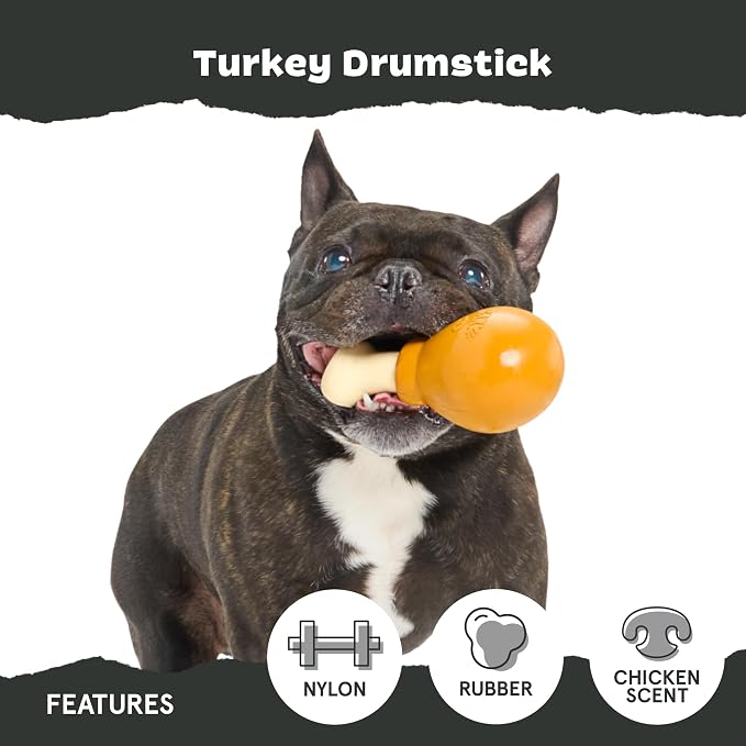 BarkBox Turkey Drumstick Super Chewer - Toy for Small Dogs | Durable Dog Toy for Aggressive Chewers - Chicken Scented Chew