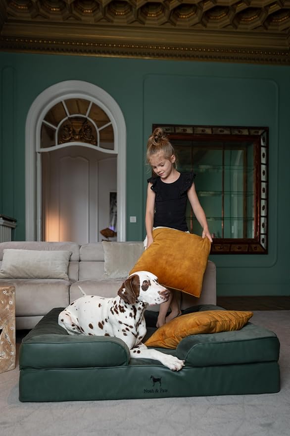 NOAH & PAW XL Dog Bed, 45x35x11 Inch, Orthopedic Large Dog Beds, Eggshell Memory Foam Infused with Cooling Gel, Inner Cover, Water Resistant, Machine Washable (Faux Leather)