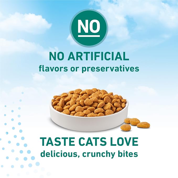 Purina ONE LiveClear Allergen-Reducing Cat Food Dry Formula with Real Chicken As The Number One Ingredient - 3 lb. Bag