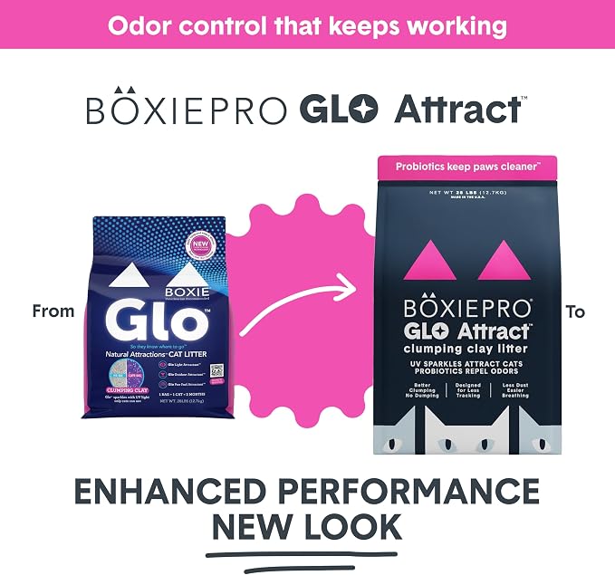 Boxie Glo Attract Clumping Cat Litter 40+ Day Odor Control Dust Free 16 lb
