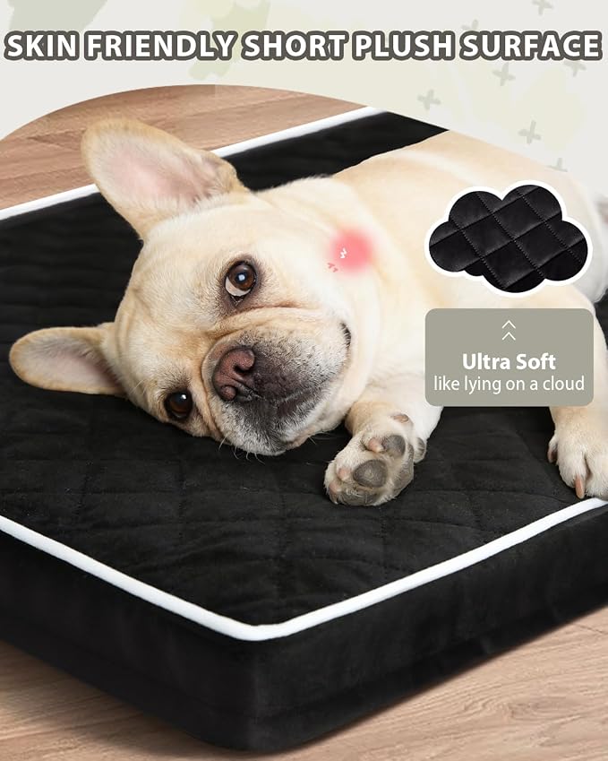 NUPIDA Orthopedic Large Dog Bed for Crate with Washable Cover, 35x22, Black | Egg-Crate Foam, Cozy Velvet Pet Mattress, TPU Waterproof Layer, Flat Kennel Pad, Comfy Support, Non-Slip Bottom