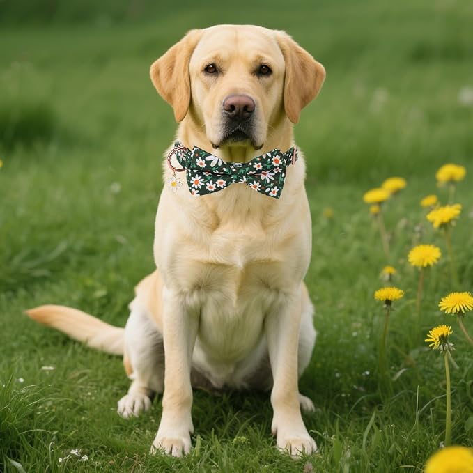 ADOGGYGO Floral Girl Dog Collar with Bow Tie, Cute Daisy Bowtie, Large