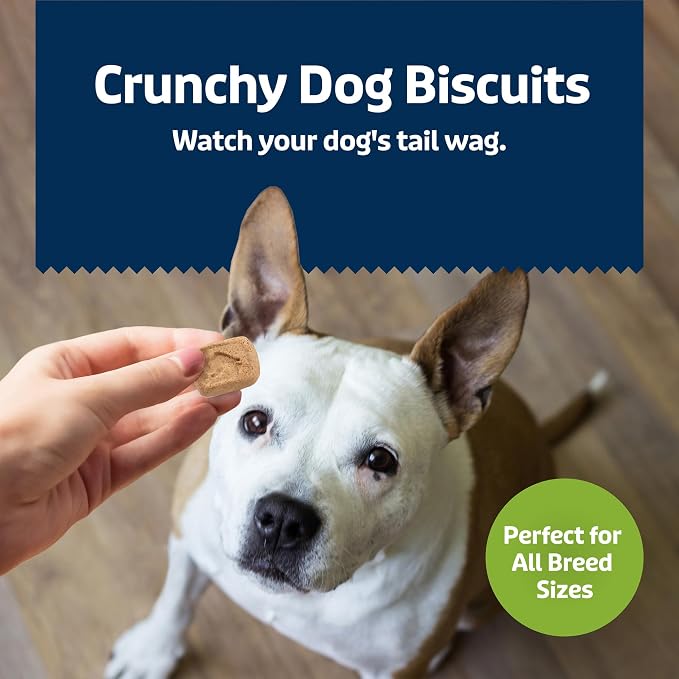 Blue Buffalo Health Bars Apples & Yogurt Mini Dog Biscuits, 32 oz | Smaller Bite, Same Crunch, Oven-Baked, No Chicken By-Product, Corn, Wheat, or Soy