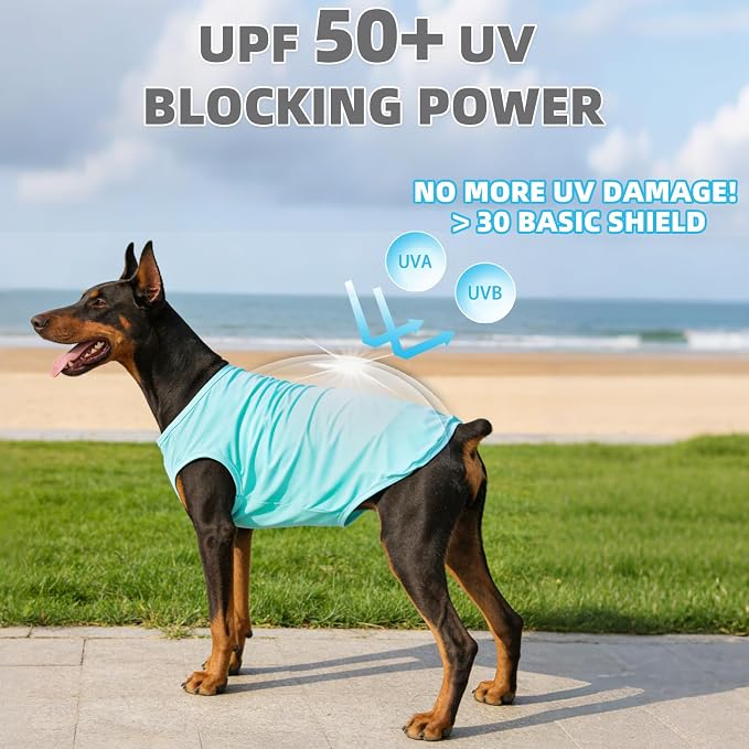 Cooling Sunblock Dog Clothes for Large Dogs, 2 Pack UPF50+ UV & Insect Protection Quick Dry Dog T Shirts for Outdoor, Anti-Hair Loss Breathable Sleeveless Pet Vest Tank Tops, Blue & Green, L