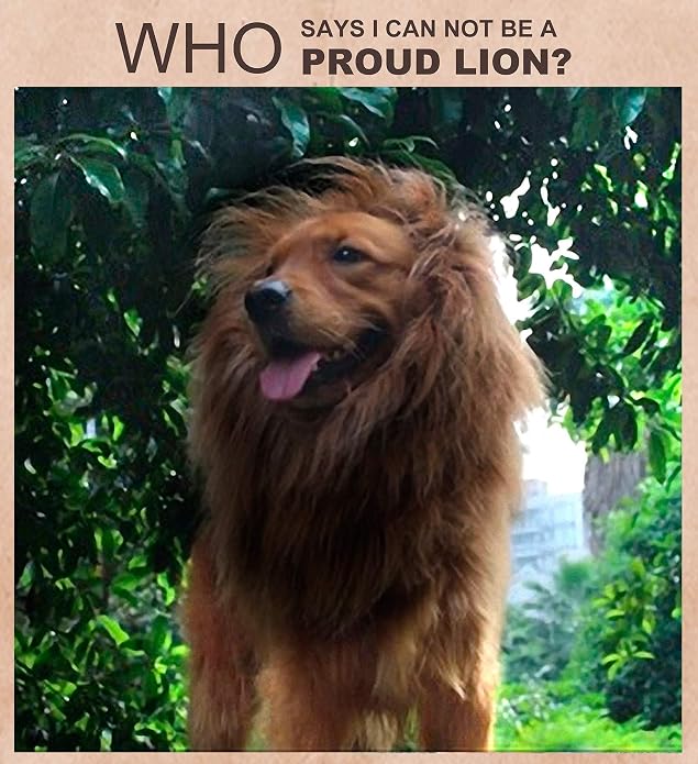 Lion Mane Wig for Dogs with Ears, Funny Pet Costumes for Halloween Christmas