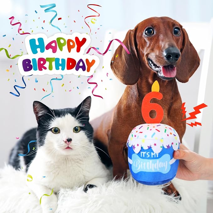Dansydaisy Dog Birthday Cake Toy Squeaky Plush Gift,6th,Blue