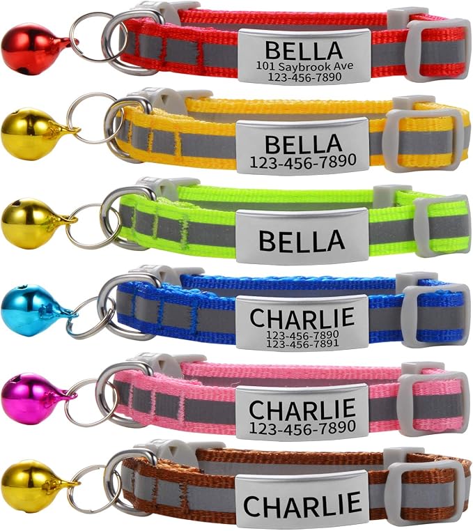 Personalized Breakaway Cat Collar with Bell & ID Tag, Reflection