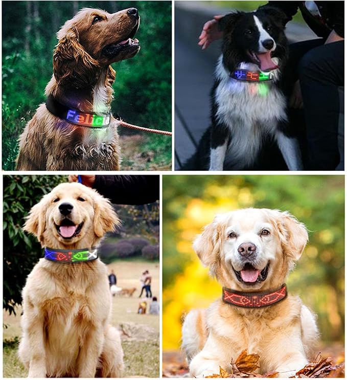 Programmable LED Dog Collar with 7 Flashing Modes Rechargeable High Visibility Polyester Ribbon for Night Walks Red