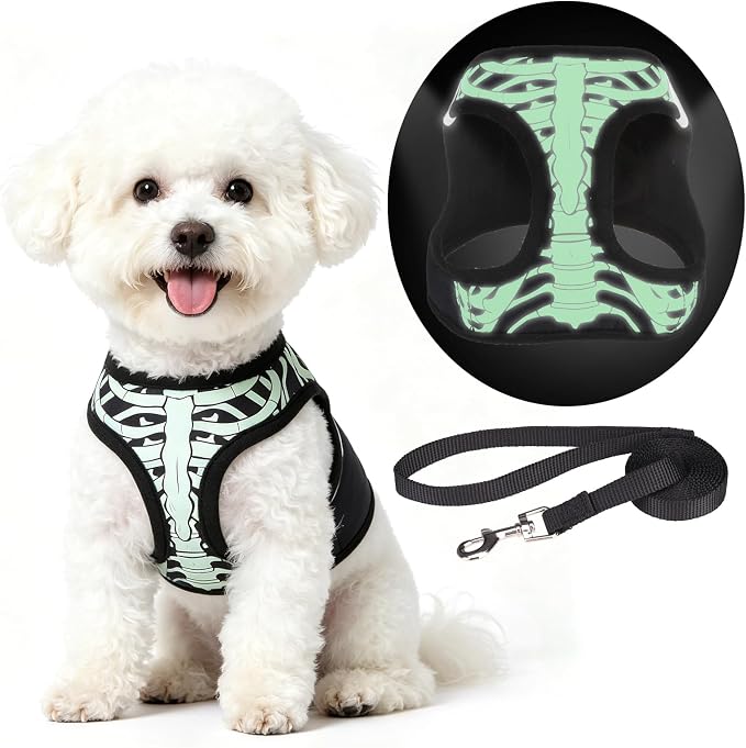 KOOLTAIL Halloween Dog Harness and Leash Set for Small Medium Dogs,Step in No Pull Soft Mesh Comfort Padded Pet Vest Harness,Glow-in-Dark Skeleton Design Easy Walking Puppy&Cat Harness for Holiday M