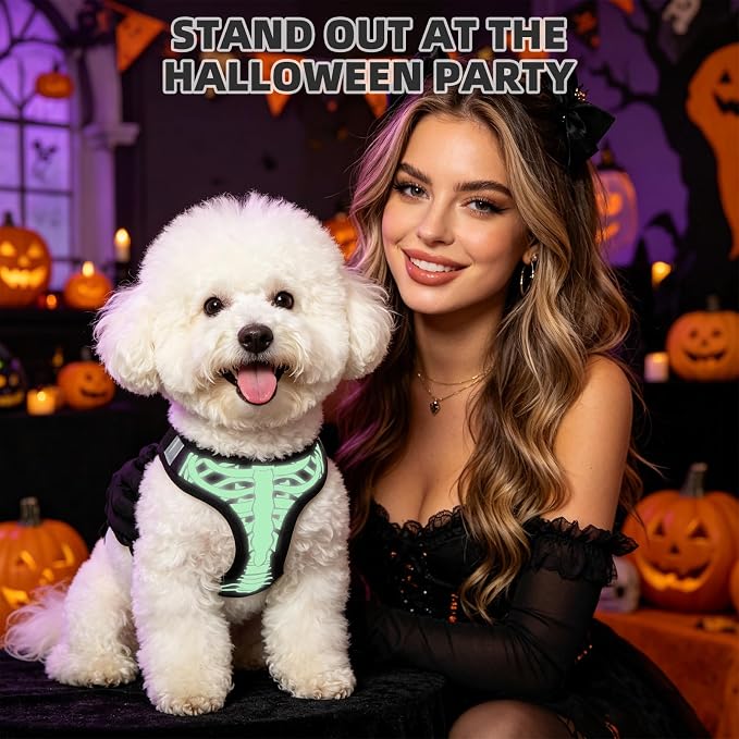 KOOLTAIL Halloween Dog Harness and Leash Set for Small Medium Dogs,Step in No Pull Soft Mesh Comfort Padded Pet Vest Harness,Glow-in-Dark Skeleton Design Easy Walking Puppy&Cat Harness for Holiday S