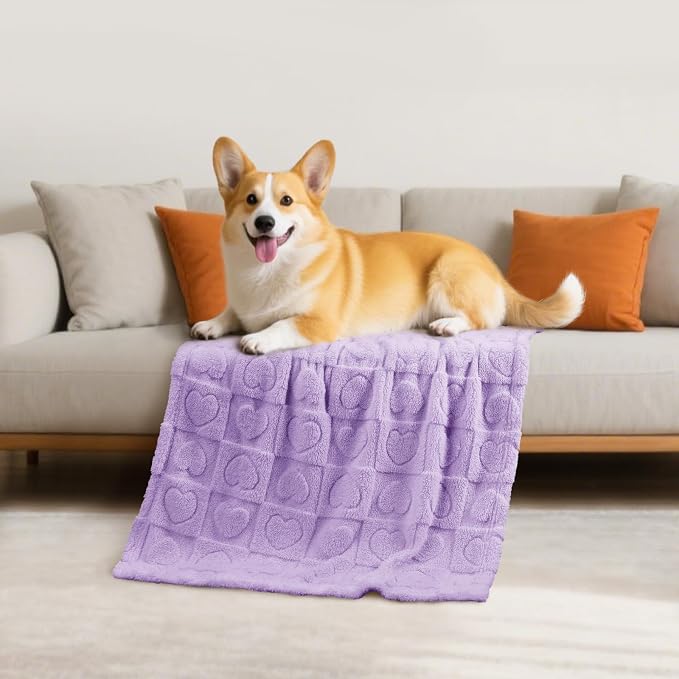 Luciphia Soft Small Dog Blanket 300GSM Fleece Throw Puppy Cat,30"x20" | Pink Blanket Washable for Medium/Large Dogs, Cute Cover on Bed Couch Crate Car, Puppy Essentials, Dog Gift