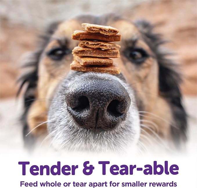 Wellness Rewarding Life Soft Dog Training Treats, Natural, Grain Free, Beef and Turkey Recipe, 6 oz Bag (Pack of 2)