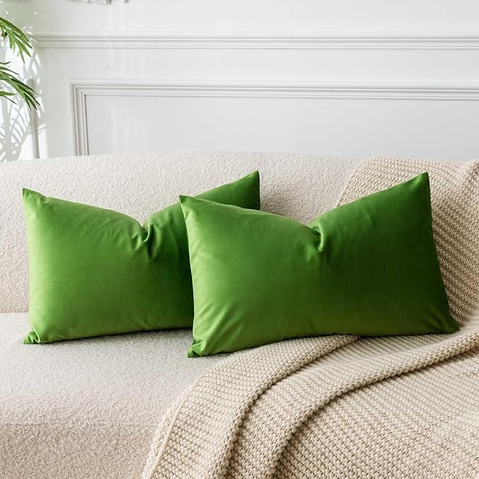 16x24 Velvet Throw Pillow Covers Set of 2 for Couch Bed Sofa,Apple Green | Decorative Soft Pillow Covers with Invisible Zipper for Couch Sofa Bed Living Room Bedroom Home Decor