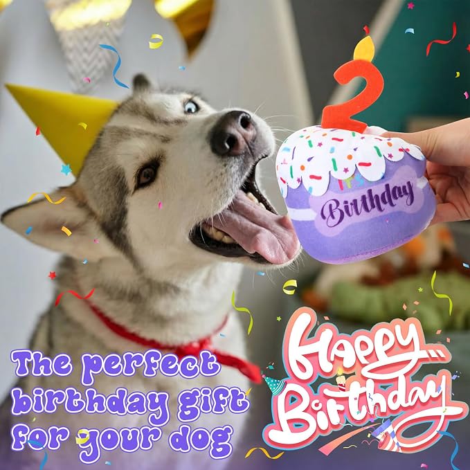 Dansydaisy Dog Birthday Cake Toy Squeaky Plush Gift,2nd,Purple