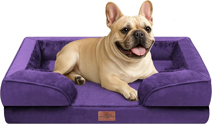 Comfort Expression Waterproof Orthopedic Dog Bed for Medium Size Dog | Supportive Egg Crate Foam Medium Pet Bed with Removable Bolsters, Dog Couch with Washable Cover & Non-Slip Bottom, 30x20 Inch