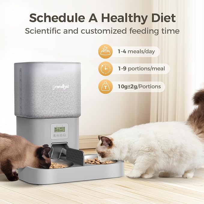 6L Automatic Cat Feeder with Dual Bowls, Button Control, Gray | Schedules 1-4 meals daily with adjustable portions, 10-second voice recording, locking lid, and AC or battery backup power.