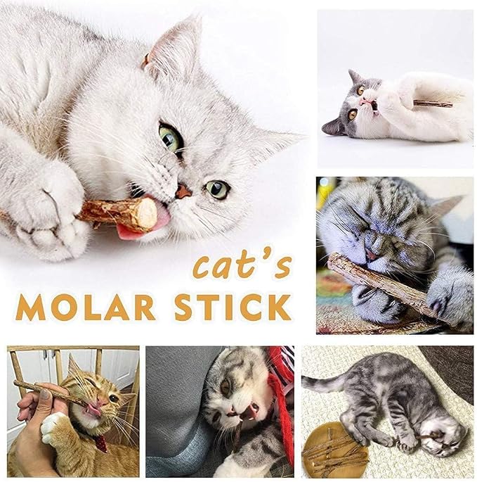 AILUKI 35PCS Cat Toys Variety Pack for Indoor Cats, Kitten Toys Cat Tunnel