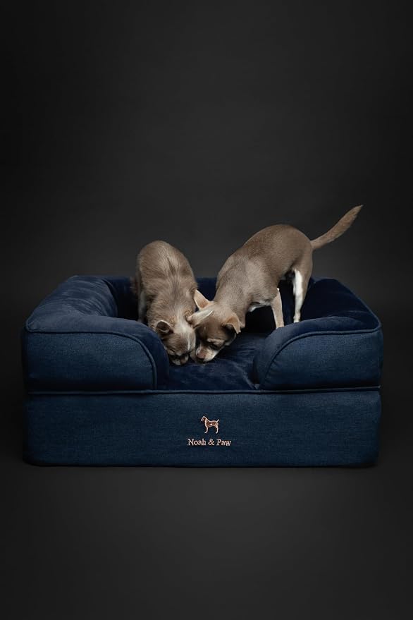 NOAH & PAW Dog Bed, 28x23x11 Inch, Orthopedic Dog Beds for Medium Size Pets, Eggshell Memory Foam Infused with Cooling Gel, Inner Cover, Water Resistant, Machine Washable (Denim Sofa Collection)