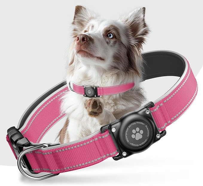 Upgrade Dog Collar with AirTag Holder, IP68 Waterproof, Watermelon red, XL | Built-in Water Resistant AirTag holder, 1000D Nylon, Reflective Stitching for Night Visibility, Soft padding for Comfort