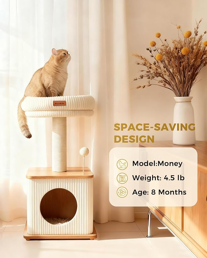 Small Cat Tree for Indoor Kittens, 30" Compact Modern Cat Tower | Natural Bamboo Cozy Condo, Soft Padded Perch, Sisal Scratching Post, Dangling Ball Toy, Stable Base, for Cats up to 15 lbs