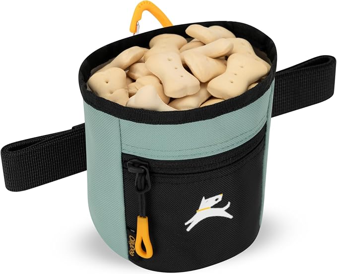 OllyDog, Goodie Treat Bag, Dog Treat Training Pouch | Magnetic Closure | 3 Ways to Wear | Hands-Free Waist Belt | Water-Resistant Recycled Vegan Fabric (Surf)
