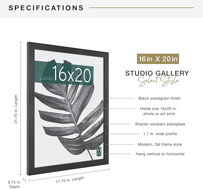 MCS Studio Gallery 16x20 Poster Frame Black Woodgrain Engineered Wood, Vertical & Horizontal Wall Hanging Large Picture Frame for Photos, Posters & Art Prints (1-Pack)