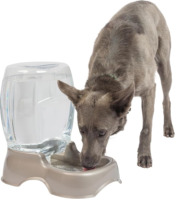 Petmate Pet Cafe Cat and Dog Water Dispenser, 3 GAL, Pearl Tan | USA Made Gravity Waterer with Easy Grab Base for Cats and Dogs