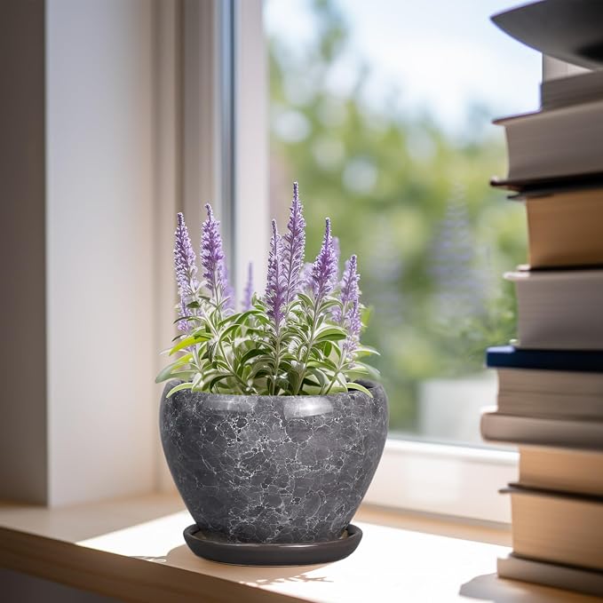Ceramicfor Ceramic Planter - 6 Inch Plant Pot with Drainage Hole and Saucer, Succulent Pot Glaze Round Flower Pot for Indoor Outdoor Plants, Gray