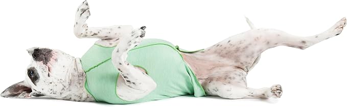 Sun Shield Dog Tee – T-Shirt for Canines – UV Protection, Pet Anxiety Relief, Wound Care – Protects Against Foxtails, Aids Alopecia - Machine Washable, All Season – Size 2 – Pistachio