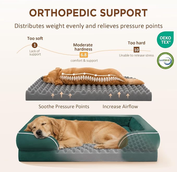 Comfort Expression Waterproof Orthopedic Dog Beds for Large Sized Dog | Supportive Egg Crate Foam Large Pet Bed with Removable Bolsters, Dog Couch with Washable Cover & Non-Slip Bottom, 38x25 Inch